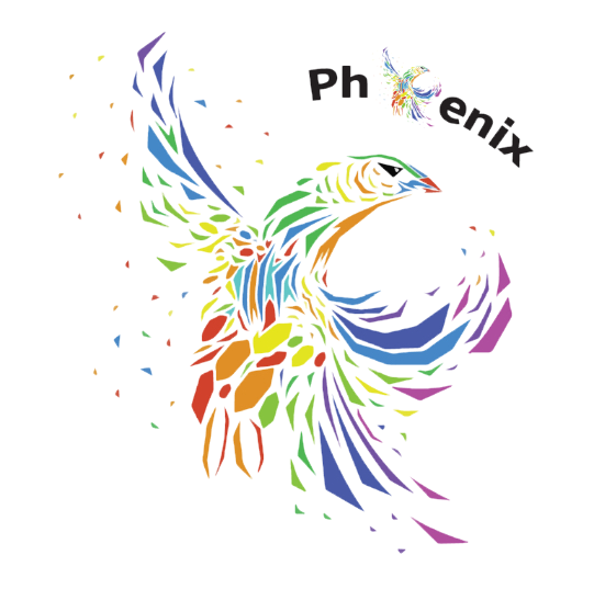 Phoenix Experts Services logo