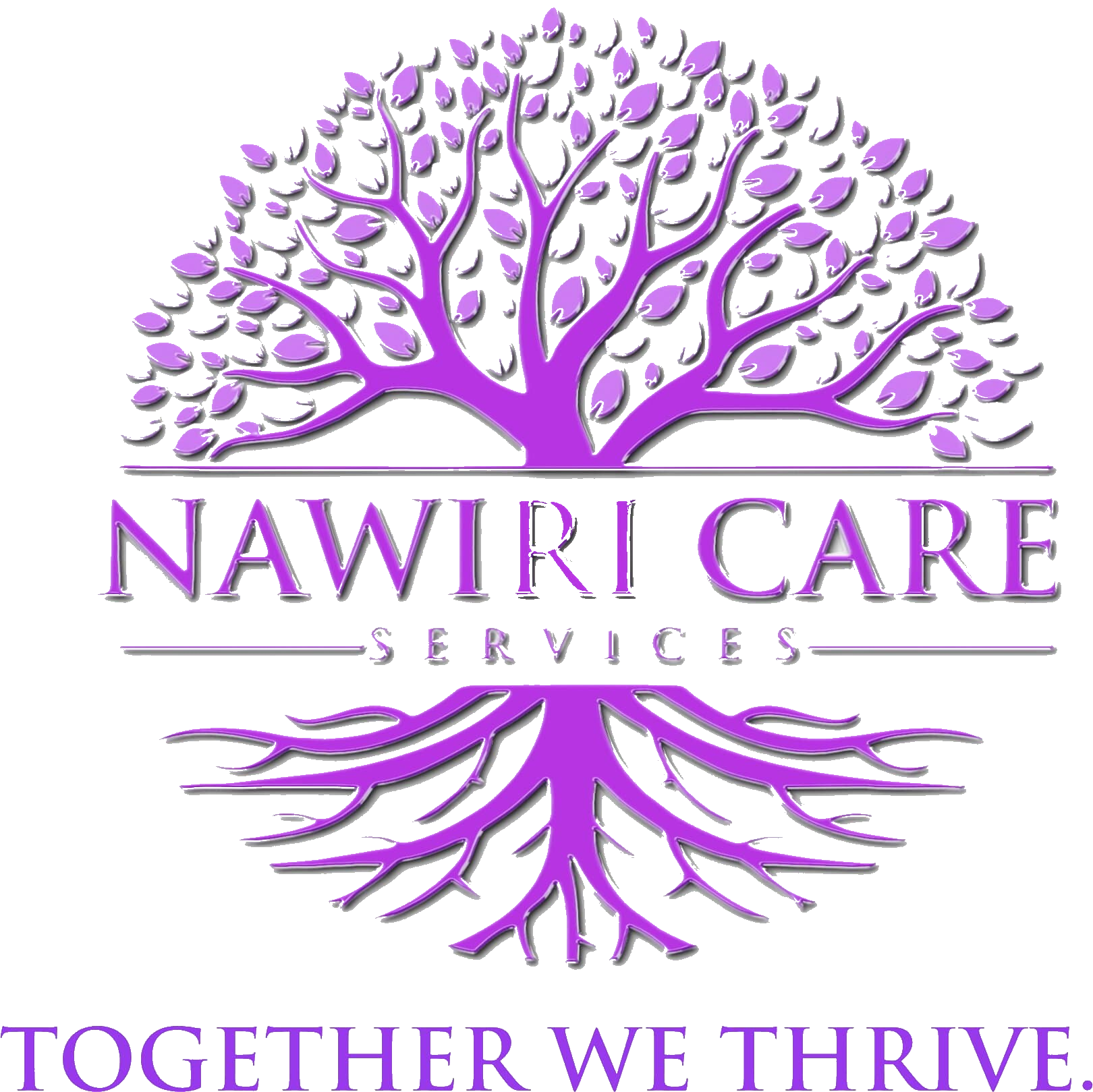 Nawiri Care Services logo