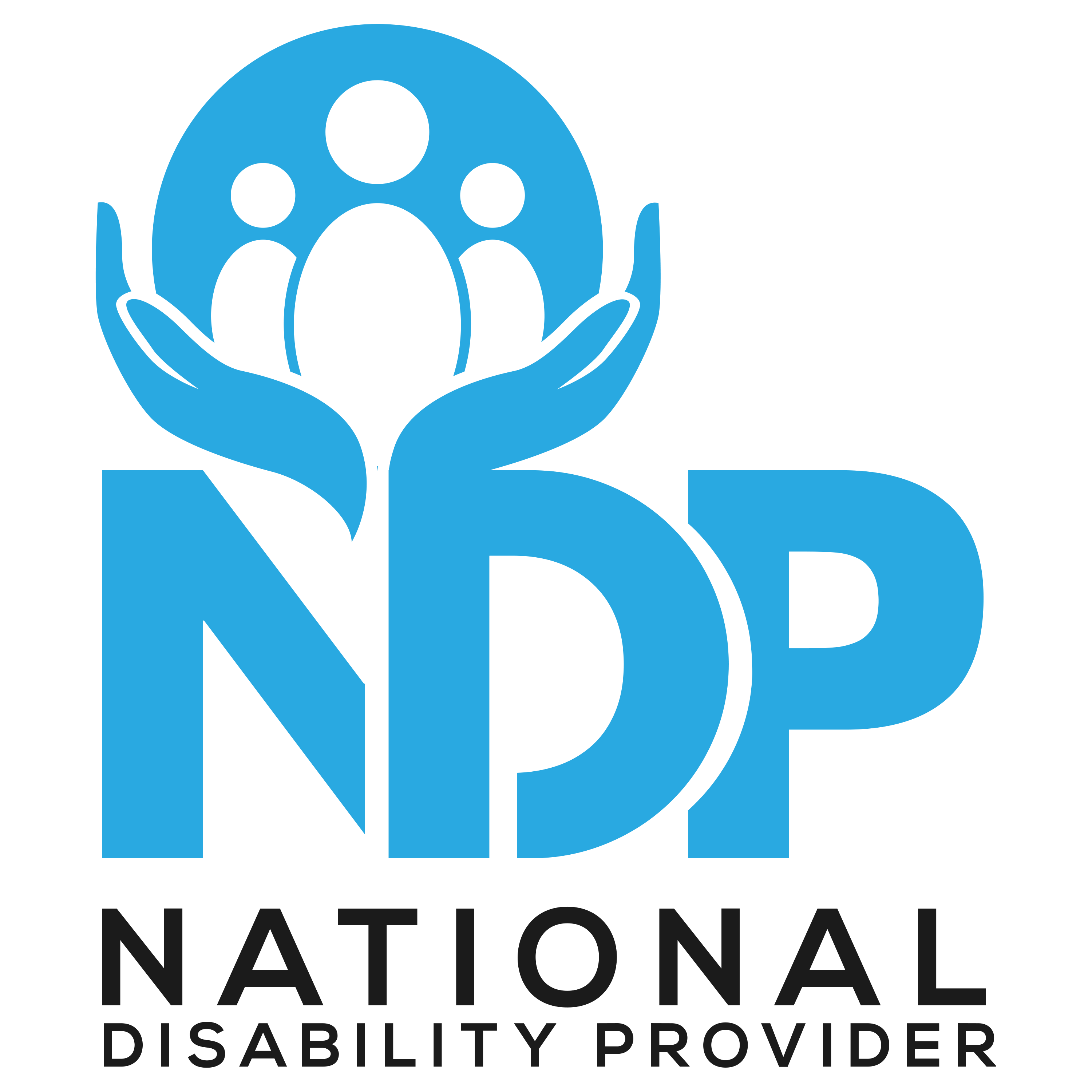 National Disability Provider logo